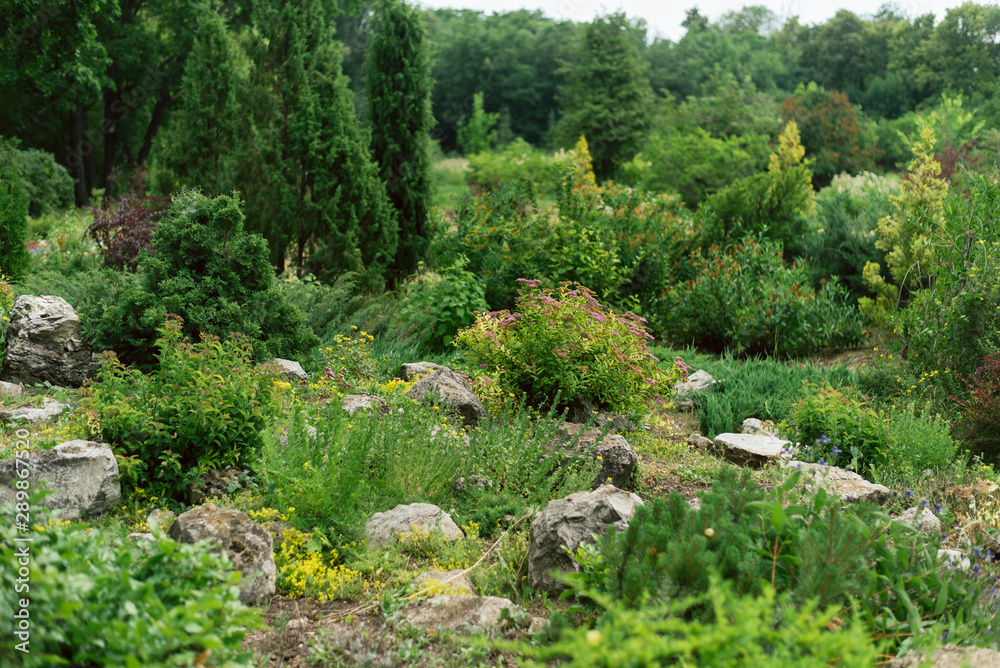 Training students in landscape design in a botanical garden. beautiful plants. Training students in landscape design in a botanical garden. beautiful plants.