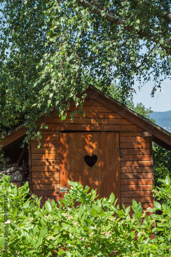 toilet in the house in the garden under the birch toilet in the house in the garden under the birch