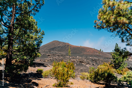 Postcards from Tenerife