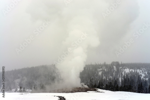 Fotografie, Tablou Old Faithful Geyser erupting