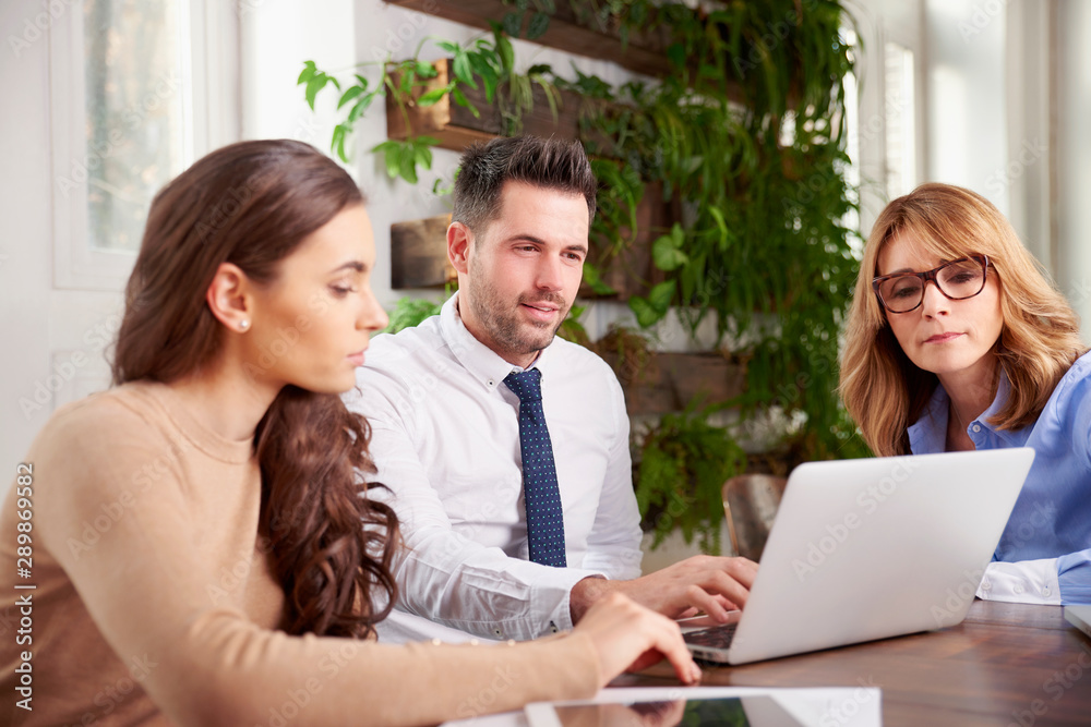 Group of business people using laptop while working in the office
