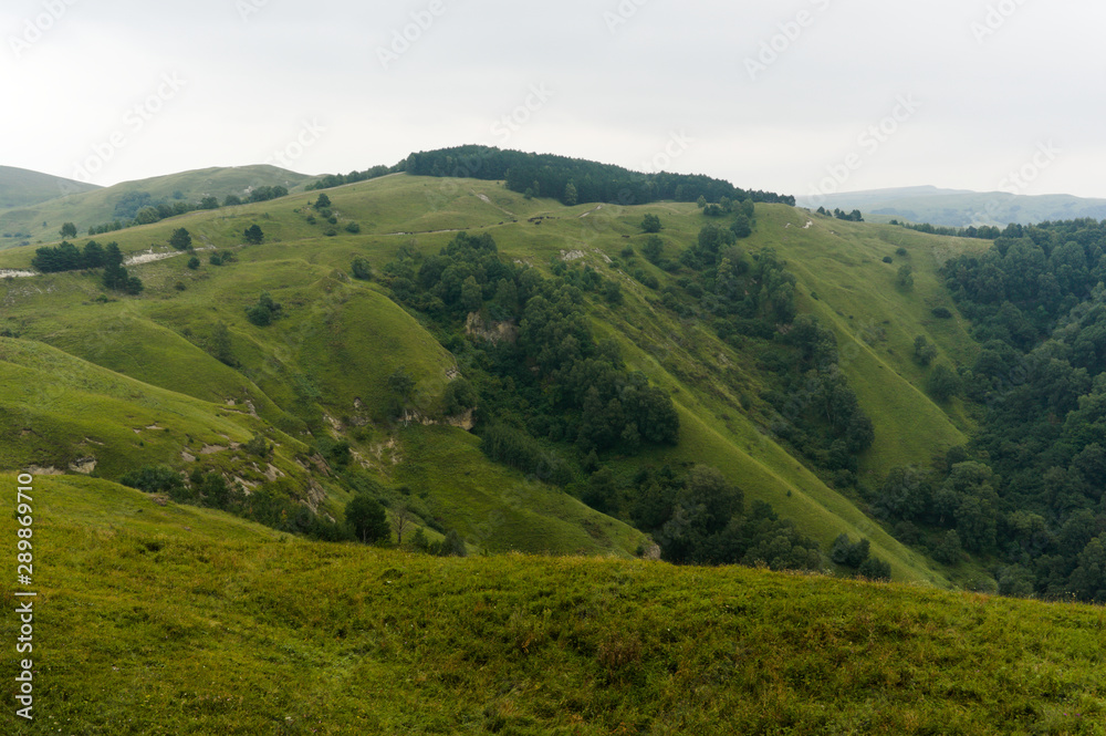 MouGreen lawn grass landscape in the caucasus mountains near kislowodsk, raw original picture