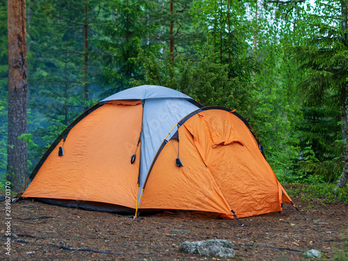 Orange tent on arcs in a green coniferous forest in summer