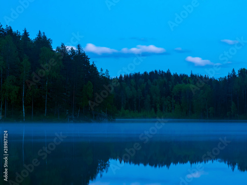 Forest lake shore landscape . Summer forest lake shore panorama. Forest lake shore view