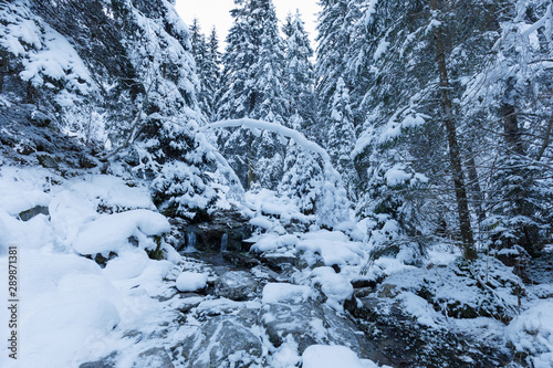 small creek in winter with snow in forest