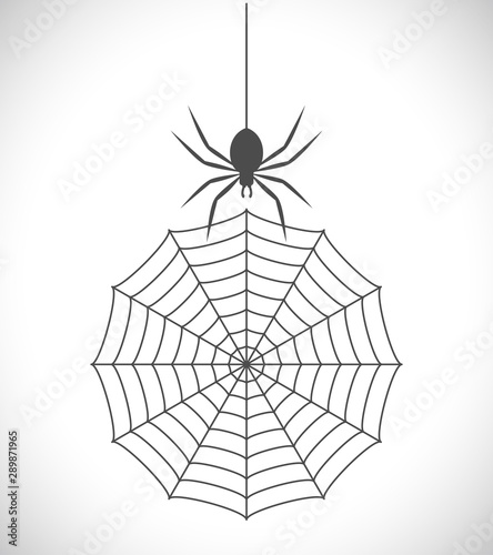 spider net icon