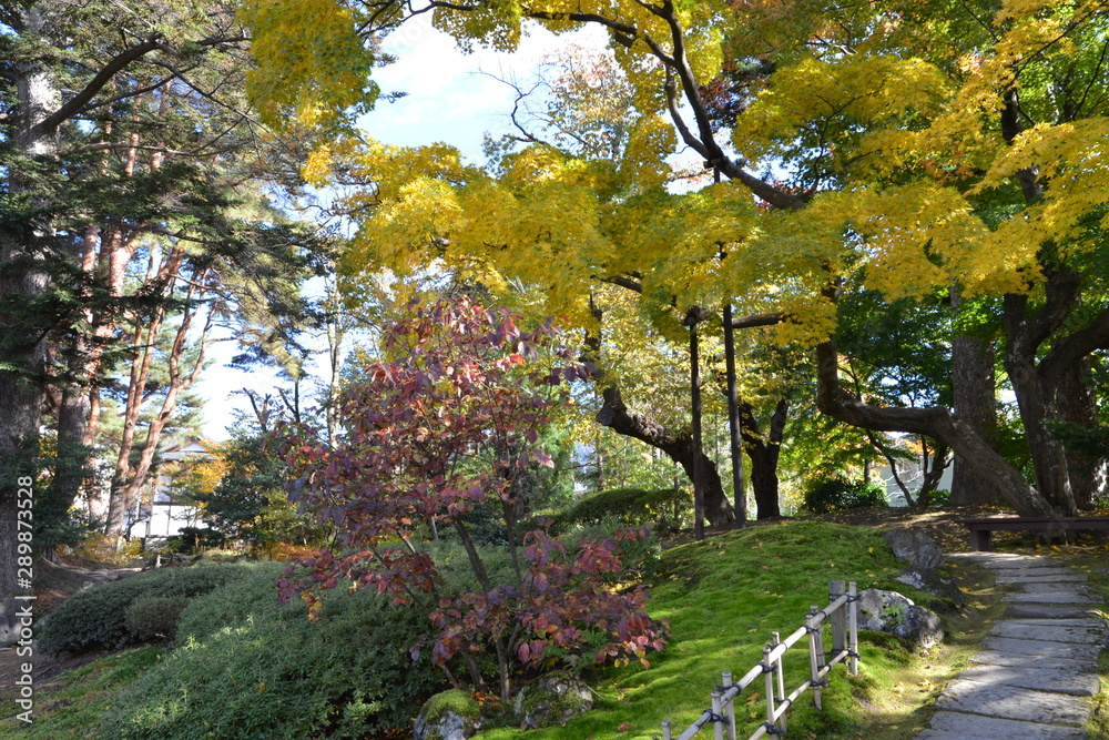 Naklejka premium 紅葉