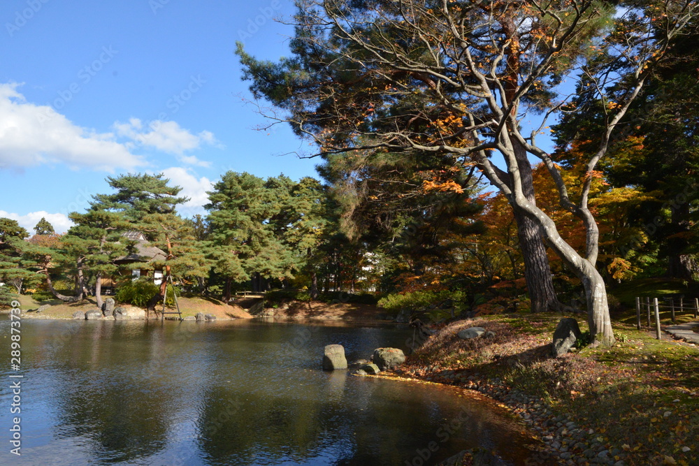 Fototapeta premium 紅葉