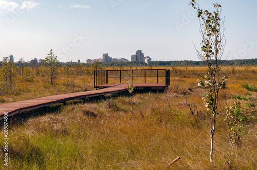 Ecological trail - wooden walkways laid in the swamp, reserve "Sestroretsk swamp"