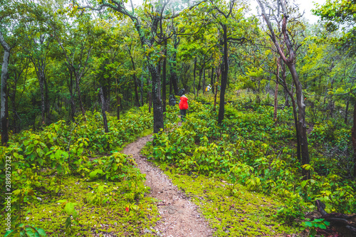 Doi Luang Tak, Tak Province, Thailand. AUGUST 31,2019: Hikers are trekking to the rain forest at Doi Luang Tak