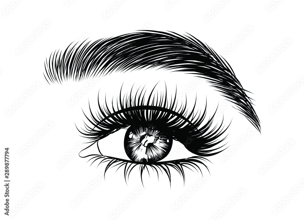 Obraz premium Hand-drawn woman's sexy luxurious eye with perfectly shaped eyebrows and full lashes. Idea for business visit card, typography vector. Perfect salon look.