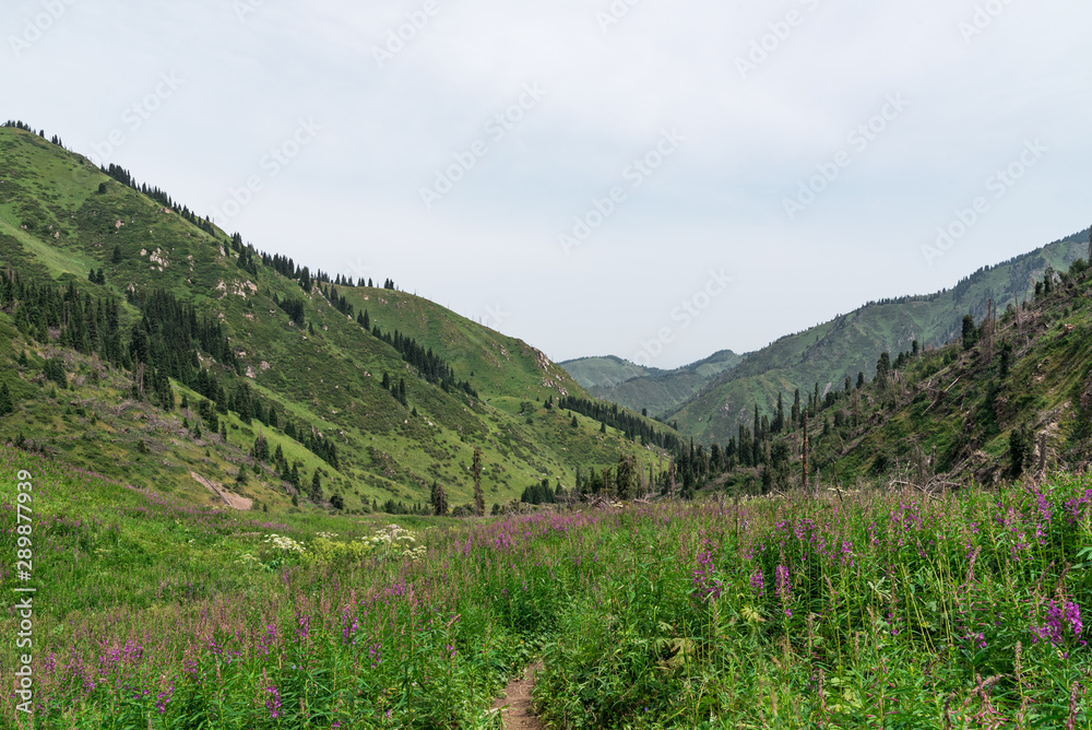 Steep and stony mountains in Kazakhstan, covered with green grass, sand and small stones