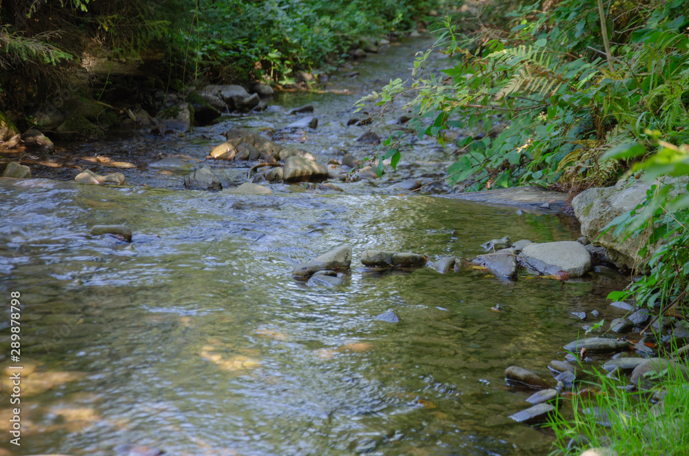nature nature