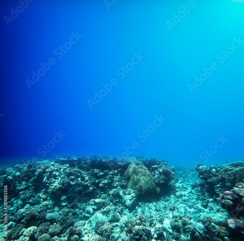 Underwater background and free space for your decoration. 