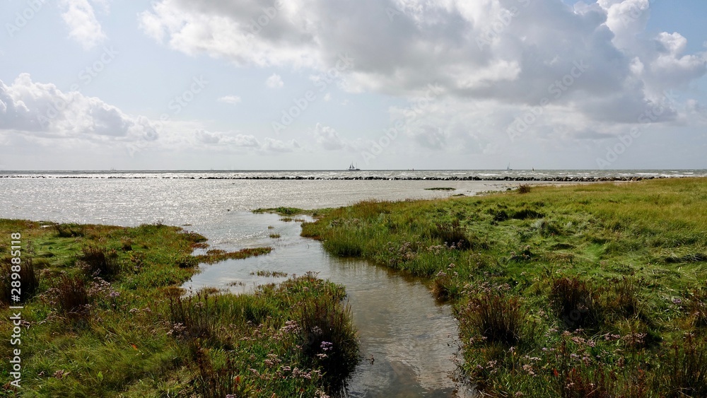 Wattenmeer, Watt, Küstenlandschaft an der Nordsee Wattenmeer, Watt, Küstenlandschaft an der Nordsee