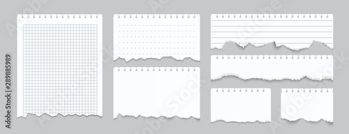 Torn notebook papers. Realistic blank gridded notebook ripped out papers. Vector illustration white paper sheets of square with cell horizontal line and perforation on gray background photo