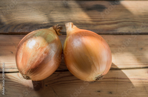 onion on wooden background, closeup
