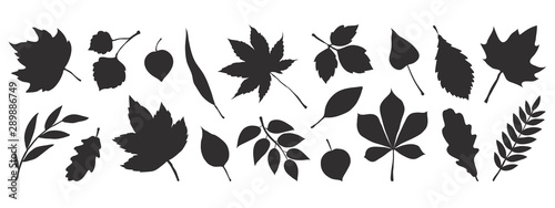 Black autumn leaves. Decorative fall elements isolated on white background. Vector illustration foliage silhouettes for greeting vintage cards and posters