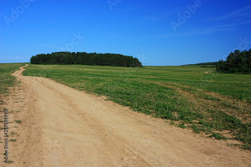 Country dirt road in the steppe