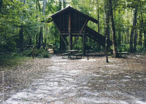 old wooden house in the forest