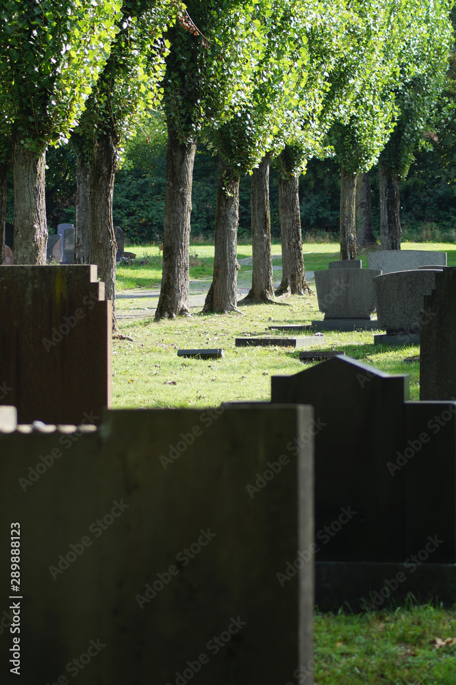 Baumreihe - Jüdischer Friedhof in Mülheim an der Ruhr