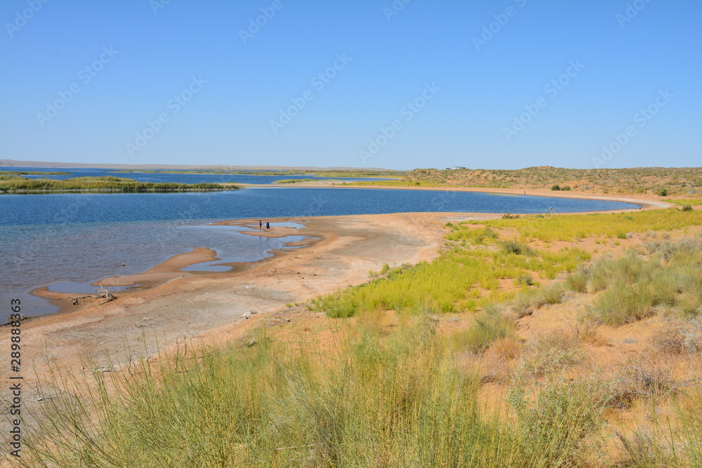 Lac Aydar Désert Kyzylkum Ouzbékistan