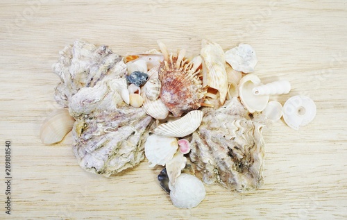 Plastic bag and shell on a wooden background. Concept No Plastic Zero Waste plastic