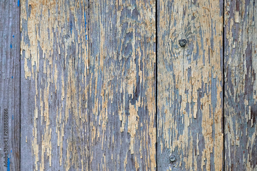 natural wood boards with beautiful texture. Barn wood wall with old, natural, rough boards. natural wood boards with beautiful texture. Barn wood wall with old, natural, rough boards.