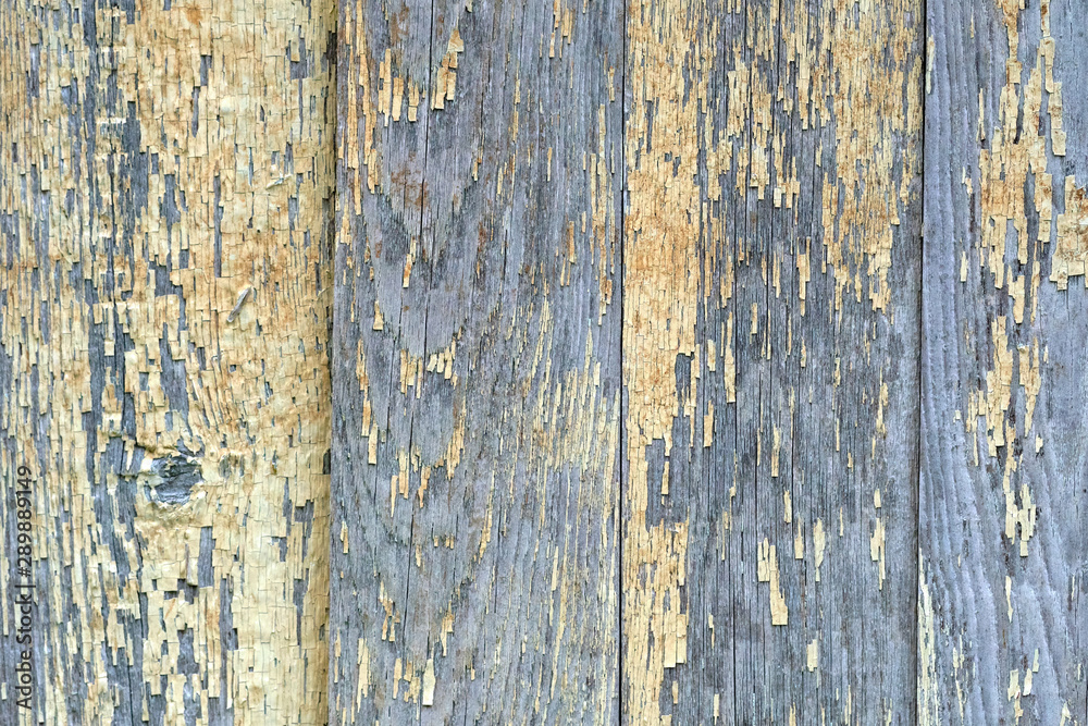 natural wood boards with beautiful texture. Barn wood wall with old, natural, rough boards. natural wood boards with beautiful texture. Barn wood wall with old, natural, rough boards.