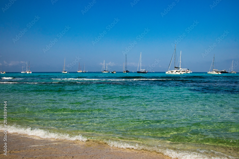 boats in bay