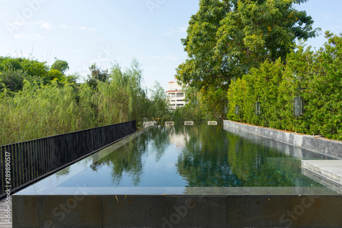 Swimming pool with green trees at home