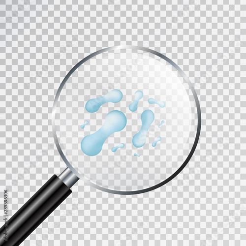 Vector realistic isolated magnifying glass with probiotics bacteria for template decoration on the transparent background.