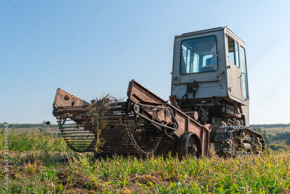 A farmer on an old tractor is harvesting potatoes. A tractor in a field digs potatoes. Agriculture, harvesting.