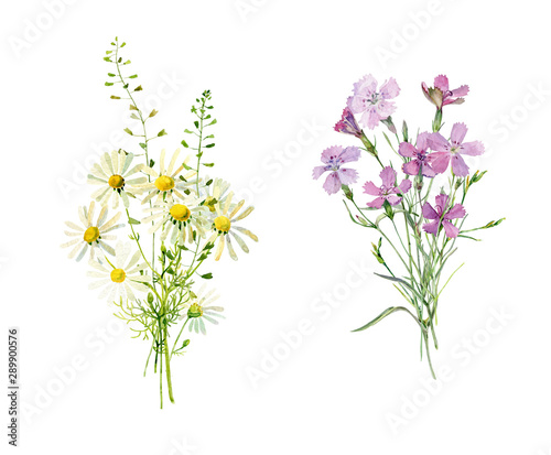 Two bouquets of wild flowers of carnations and daisies