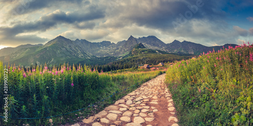 Fototapeta Naklejka Na Ścianę i Meble -  mountain landscape, Tatra mountains panorama, Poland colorful flowers and cottages in Gasienicowa valley (Hala Gasienicowa), summer