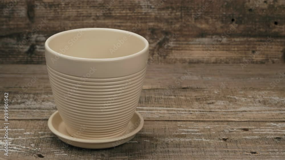 The substrate for indoor plants is poured into the flowerpot. The substrate for indoor plants is poured into the flowerpot.