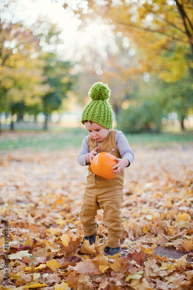 cute happy little boy throwing the fallen leaves up, playing in the autumn park with pumpkin cute happy little boy throwing the fallen leaves up, playing in the autumn park with pumpkin