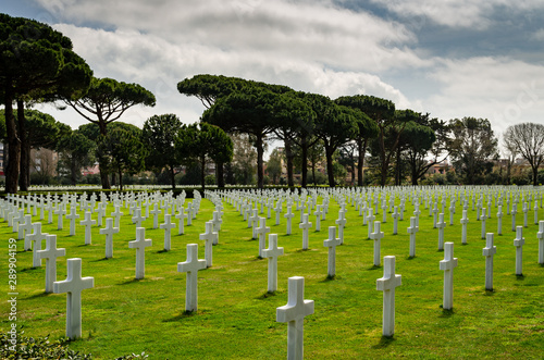 Fototapeta Naklejka Na Ścianę i Meble -  White crosses in American Cemetery. Sicily – Rome American Cemetery and Memorial in Nettuno Italy.