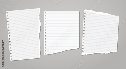 Set of torn white note, notebook paper pieces stuck on dark grey background. Vector illustration