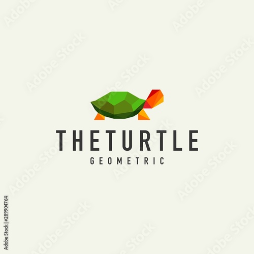 geometric turtle logo - vector design illustration on a light background