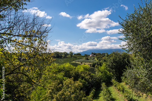 Conegliano e Valdobbiadene, la strada del Prosecco, patrimonio Unesco