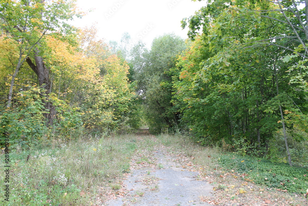 Russian nature (beginning of autumn) Russian nature (beginning of autumn)