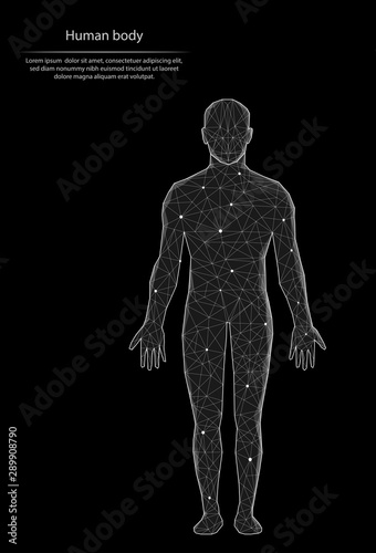 Abstract image human body in the form of lines and dots, consisting of triangles and geometric shapes. Low poly vector background.