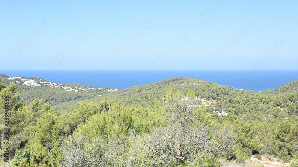 Fototapeta premium Ibiza azul y verde.