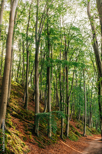 Herbst in Binz auf Rügen