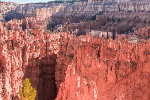 Setting Sun lights up the red rock Formations at Bryce Canyon National Park.