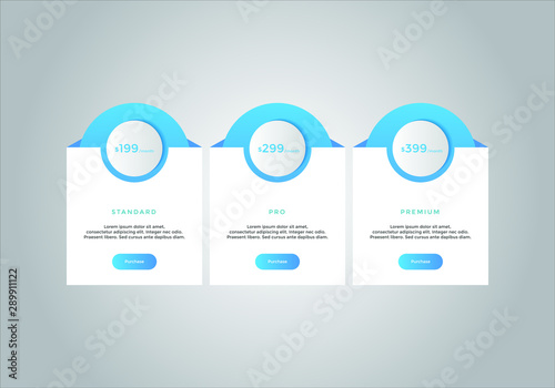 Pricing table vector. order, box, button, list for web. price list. mobile.