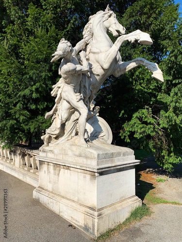 Obraz na plátně Rossebändiger Wien