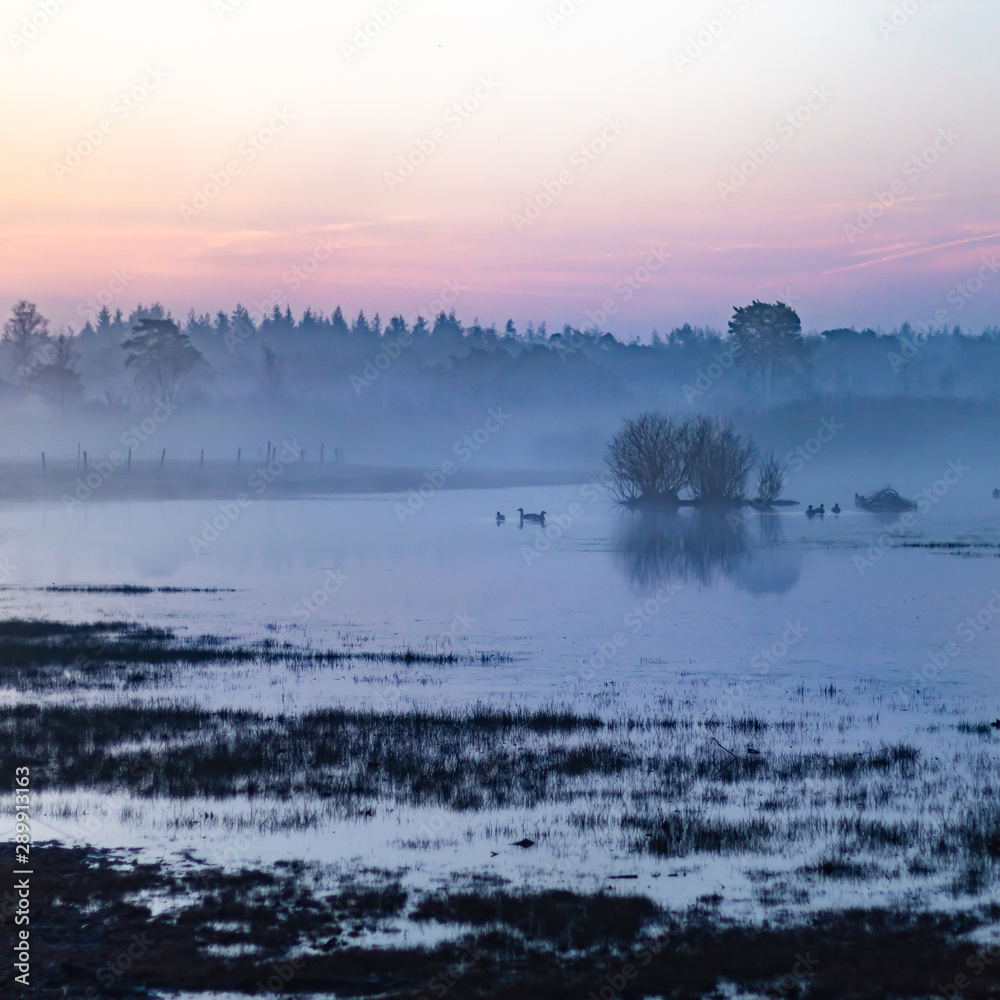 Sunrise near a pond in mastbos, The Netherlands Sunrise near a pond in mastbos, The Netherlands