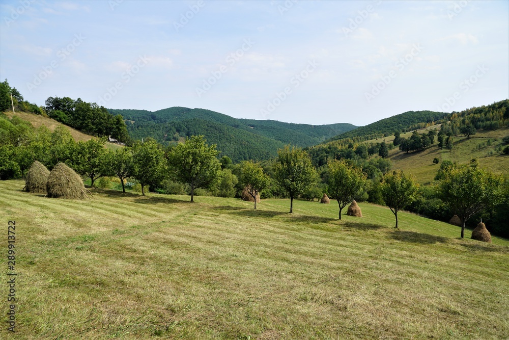 Romanian haystacks landscape in Apuseni mountains